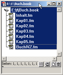 (FrameMaker-Buch mit einer markierten Datei — Formate werden nur auf diese angewandt)